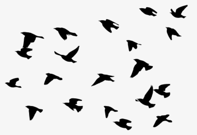 Bird Flying Png -download File - Easy Bird Flying Painting, Transparent Png, Transparent PNG