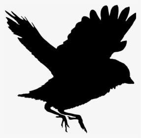 Freedom, Fly, Bird, Silhouette, Wings, Nature - Flying Bird Png Pic Vector, Transparent Png, Transparent PNG