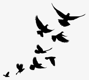 Jiminey Kricket Exterminating Pigeons - Flying Bird Flock Silhouette, HD Png Download, Transparent PNG