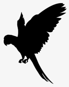 Transparent Flying Parrot Png - Parrot Silhouette Png, Png Download, Transparent PNG