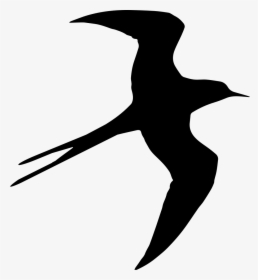 Swallow Bird Flying Silhouette - Bird Fly Psd File, HD Png Download, Transparent PNG