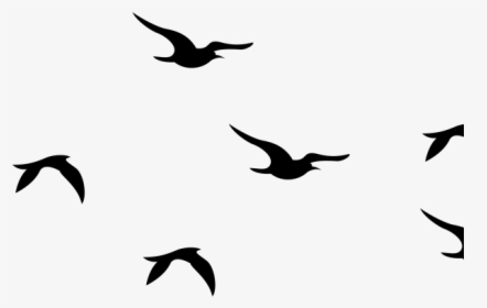 Flying Bird Graphic - Birds Flying Silhouette Svg, HD Png Download, Transparent PNG