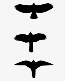 Birds Flying Silhouette Free Picture - Falcon Vs Hawk Wings, HD Png Download, Transparent PNG