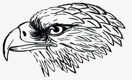 Cute Eagle Png Black And White - Falcon Clipart Black And White, Transparent Png, Transparent PNG