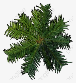 View Clipart Transparent - Trees Top View Png For Photoshop, Png Download, Transparent PNG