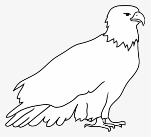 Outline Sketch Of Bald Eagle - Hawk, HD Png Download, Transparent PNG