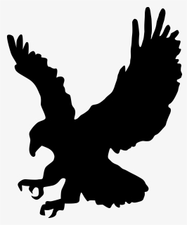 Bald Eagle Silhouette Clip Art - Black And White Eagle Clipart, HD Png Download, Transparent PNG