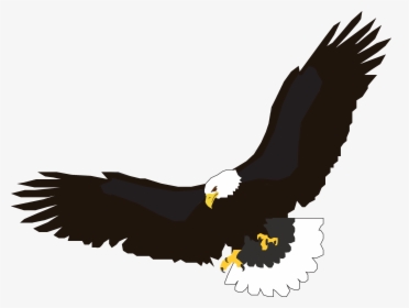 Soaring Eagle Png Black And White - Eagle Clipart Png, Transparent Png, Transparent PNG