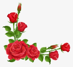 Flower Garden Perennial Plant Pixabay - Flower Rose Border Design, HD Png Download, Transparent PNG