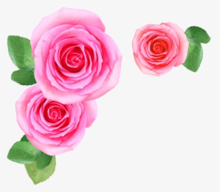 Pink Rose Flowers Png Image Free Download Searchpng - Pink Flower Png, Transparent Png, Transparent PNG