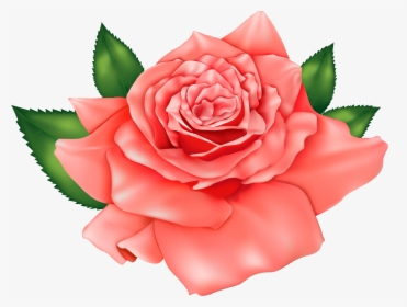 Orange Rose Png Clipart Image - Rose Clipart Flowers, Transparent Png, Transparent PNG