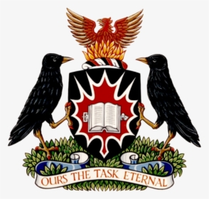 Transparent Medieval Shield Png - Carleton University Coat Of Arms, Png Download, Transparent PNG