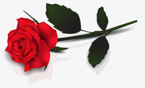 Single Rose Flowers Png - Single Red Rose Transparent Background, Png Download, Transparent PNG