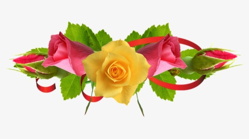 Yellow Rose Flower Free Png Transparent Images Free - Flower Images Hd Rose Png, Png Download, Transparent PNG