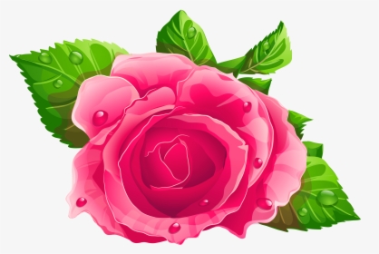 Single Rose Flowers Png - Rosa Cor De Rosa Png, Transparent Png, Transparent PNG