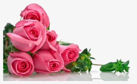 Flowers Images High Resolution, HD Png Download, Transparent PNG
