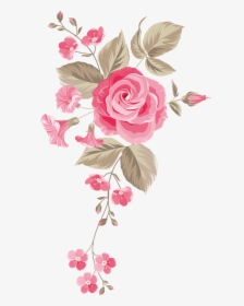 Rose Flower Png Image Free Download Searchpng - Transparent Background Pink Roses, Png Download, Transparent PNG