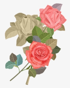 Wedding Invitation Beach Rose Flower Euclidean Vector - Invitation Cards Rose Flower, HD Png Download, Transparent PNG