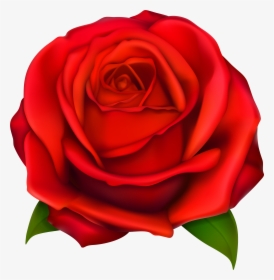 Rose Flower Clipart - Transparent Background Rose Clipart Transparent, HD Png Download, Transparent PNG