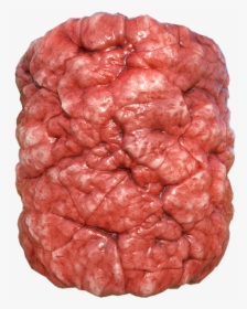Bloody Organ, Intestine Or Flesh Texture, Seamless - Brain (as Food), HD Png Download, Transparent PNG