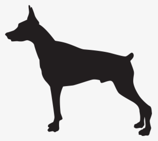 Doberman Dog Silhouette Png Transparent Clip Art Image, Png Download, Transparent PNG