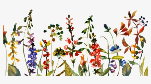 Save The Date Blumensommer-blumen Minimalistic Karte - Wild Flowers Png Free, Transparent Png, Transparent PNG