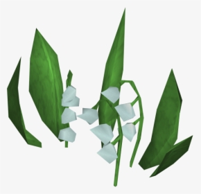 Download Lily Of The Valley Transparent Png - Lily Of The Valley, Png Download, Transparent PNG