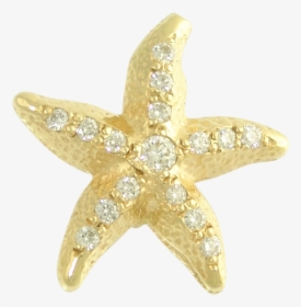 Sea Star Png High-quality Image - Gold Starfish Png, Transparent Png, Transparent PNG