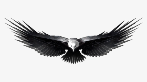 Eagles Design Five Isolated - Transparent Background Eagle Png Hd, Png Download, Transparent PNG