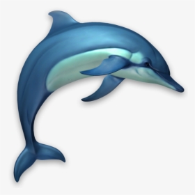 Dolphins 3d, HD Png Download, Transparent PNG