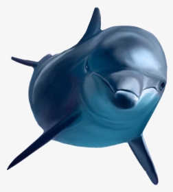 Dolphin - Ecco The Dolphin Transparent, HD Png Download, Transparent PNG