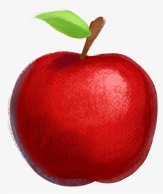 Apple Drawing Fruit Illustration - ภาพ วาด แอ ป เปิ้ ล, HD Png Download, Transparent PNG