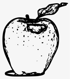 Free Vector Apple Line Art - Apple Black And White Images In Png, Transparent Png, Transparent PNG
