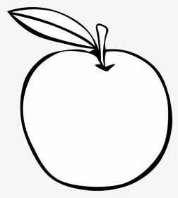 Clip Art Apple Fruit Drawing - Mango Clipart Black And White, HD Png Download, Transparent PNG