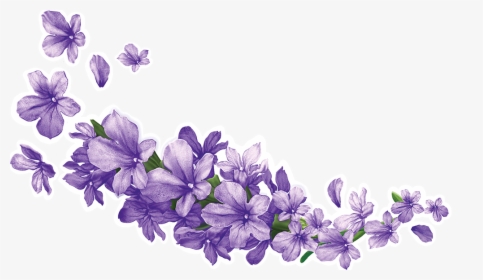 Lavender PNG Images, Transparent Lavender Image Download ...