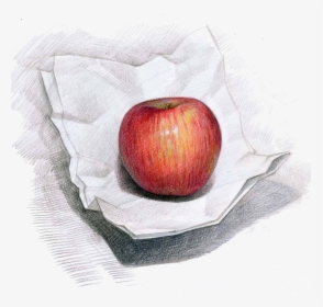 Apple Campus Colored Pencil Drawing Painting - Apple Color Pencil Drawing, HD Png Download, Transparent PNG