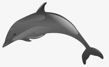 Clip Art Dolphins Jumping Clipart - Animales Acuaticos En Png, Transparent Png, Transparent PNG