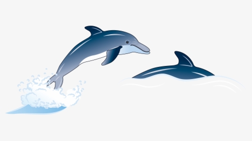 Porpoise Drawing Blue Dolphin Transparent Png Clipart - Dolphin, Png Download, Transparent PNG
