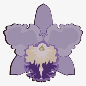 Lavender Clipart Orchid Flower - Violet Flower Orchid Silhouette Png, Transparent Png, Transparent PNG