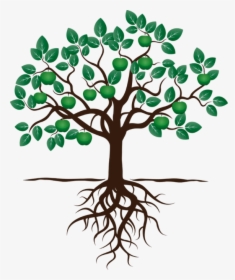 Social Work Opportunities - Fruit Tree With Roots, HD Png Download, Transparent PNG