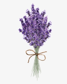 Clip Art Lavender Flower - Lavender Flower Paintings, HD Png Download, Transparent PNG