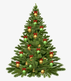Arbol De Navidad - Christmas Tree Png Transparent, Png Download, Transparent PNG