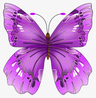 Lavender Clipart Freeuse - One Purple Butterfly, HD Png Download, Transparent PNG
