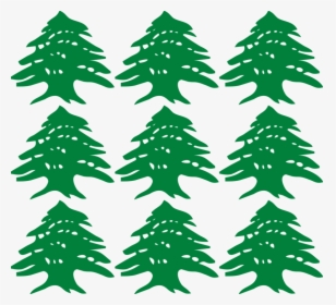 Pine Family,plant,leaf - Lebanese Cedar Tree Vector, HD Png Download, Transparent PNG