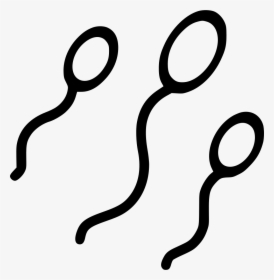 Sperm Baby Making Pregnancy Sexual Adult Reproduction - Sperm Transparent, HD Png Download, Transparent PNG