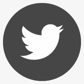 official twitter logo