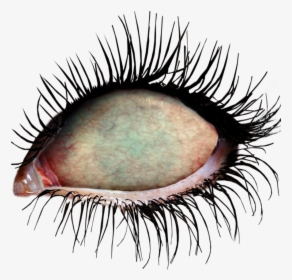 #ftestickers #eye #eyes #zombie #zombieeyes #undead - Zombie Eyes Transparent, HD Png Download, Transparent PNG