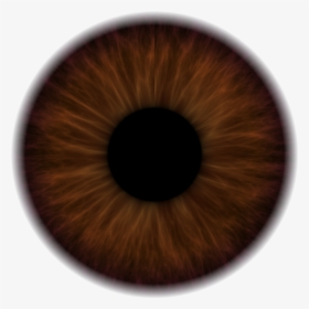 Transparent Eyes Png - Close-up, Png Download, Transparent PNG