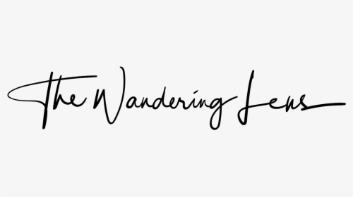 The Wandering Lens - Calligraphy, HD Png Download, Transparent PNG