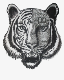 Transparent Tiger Pattern Png - Sketch Of Tigers Face, Png Download, Transparent PNG